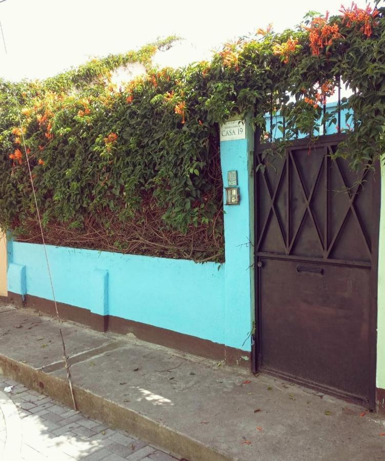 4 Grados Hostel Guatemala City Bagian luar foto
