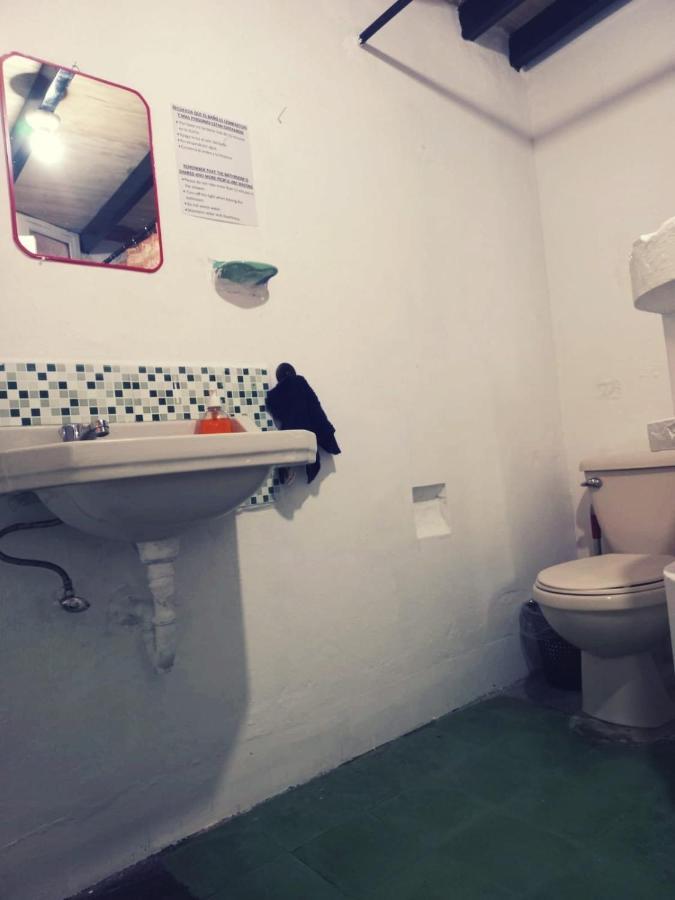 4 Grados Hostel Guatemala City Bagian luar foto